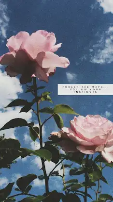 aesthetic background screenshot 4