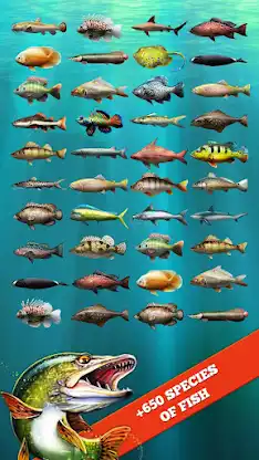 Let's Fish: Fishing Simulator screenshot 3