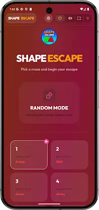 Shape Escape Maze Offline Play screenshot 6