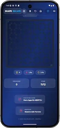 Shape Escape Maze Offline Play screenshot 4