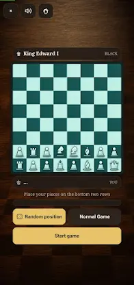 RandomChess screenshot 4