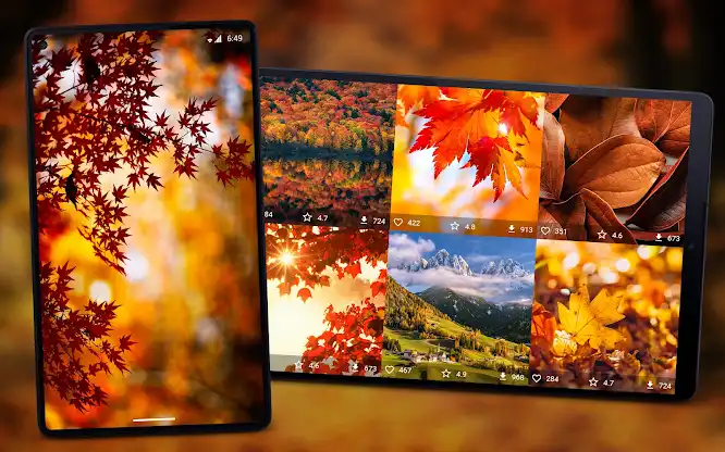 Autumn Wallpapers 4K screenshot 6
