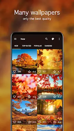 Autumn Wallpapers 4K screenshot 2