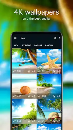 Beach Wallpapers 4K screenshot 2