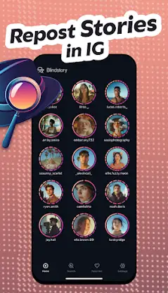 Blindstory: Story Saver & View screenshot 5