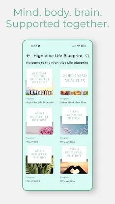 High Vibe Life screenshot 3