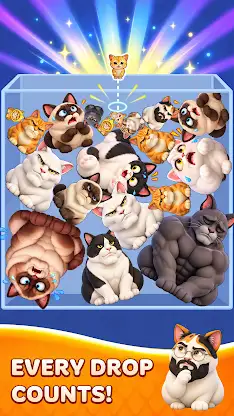 Cat Merge Party screenshot 6