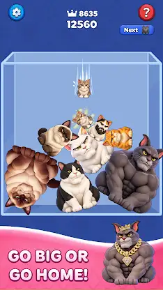 Cat Merge Party screenshot 3