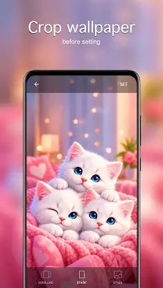 Cute Cat Wallpapers 4K screenshot 4