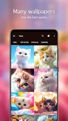 Cute Cat Wallpapers 4K screenshot 2