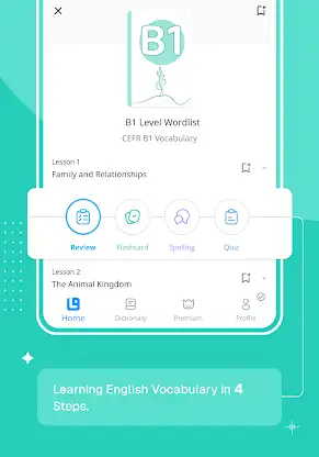 LanGeek | Vocabulary & Grammar screenshot 12