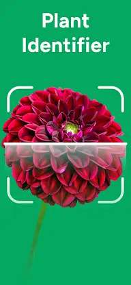 AI Plant Identifier: PlantCare screenshot 1
