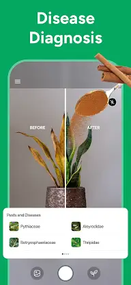AI Plant Identifier: PlantCare screenshot 2