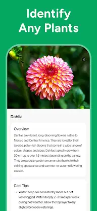 AI Plant Identifier: PlantCare screenshot 3