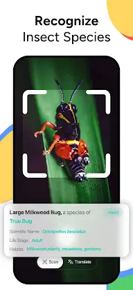 Lens AI & Reverse Image Search screenshot 5