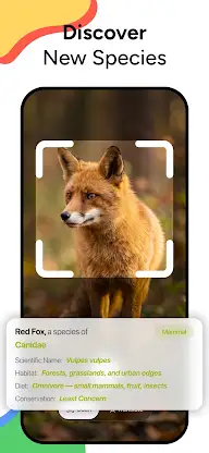 Lens AI & Reverse Image Search screenshot 6