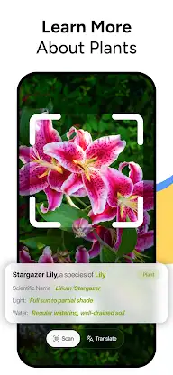 Lens AI & Reverse Image Search screenshot 4