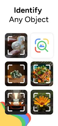 Lens AI & Reverse Image Search screenshot 1