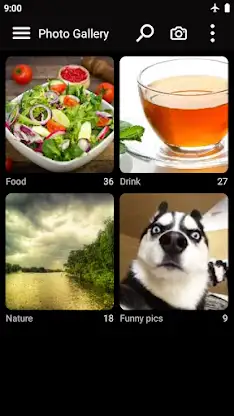 Gallery and album screenshot 2