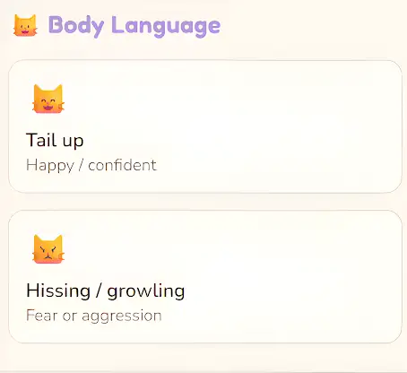 Kitty Care screenshot 3