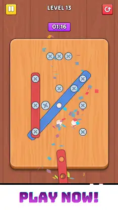 Screw Puzzle Premium screenshot 7
