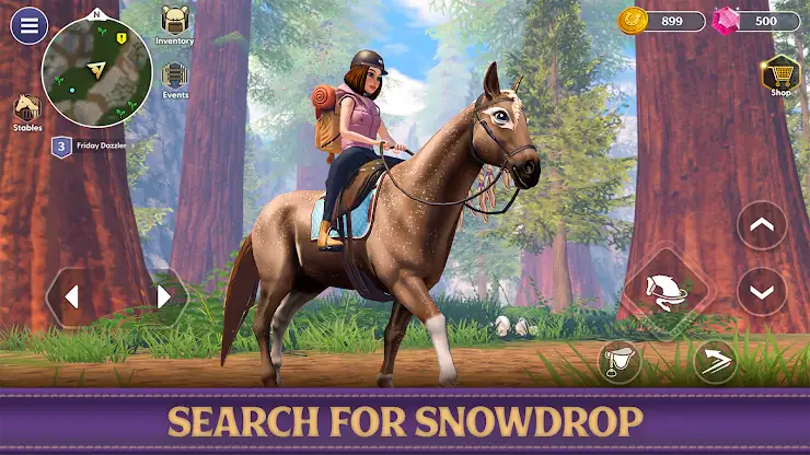Star Equestrian - Horse Ranch screenshot 6