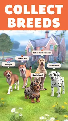 Pocket Paws: My lovely dogs screenshot 1
