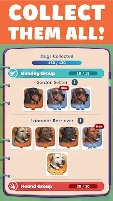 Pocket Paws: My lovely dogs screenshot 7