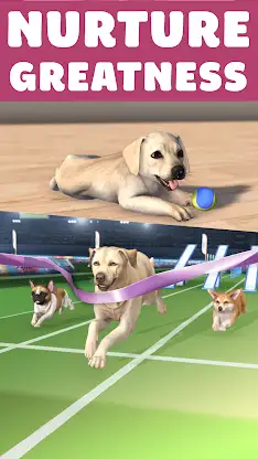 Pocket Paws: My lovely dogs screenshot 5