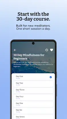Declutter The Mind Meditation screenshot 5