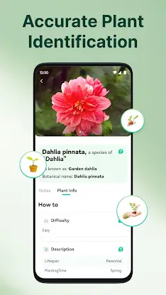 ArtReel - AI Plant Identifier screenshot 4