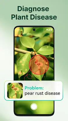 ArtReel - AI Plant Identifier screenshot 3