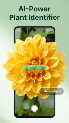 ArtReel - AI Plant Identifier screenshot 1
