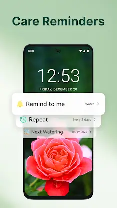 ArtReel - AI Plant Identifier screenshot 5