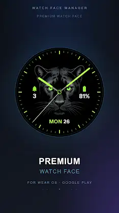 Panther Gaze Watch Face screenshot 4