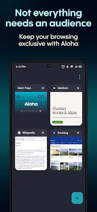 Aloha Browser - Private VPN screenshot 6
