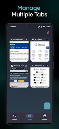 Aloha Browser (Beta) screenshot 6