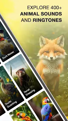 Animal Sounds and Ringtones screenshot 2