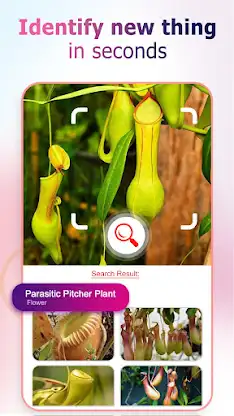 Reverse Image Search Finder screenshot 6