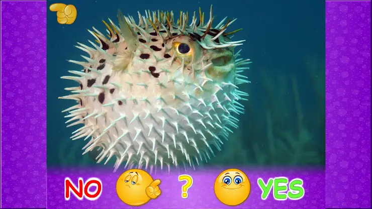 Amazing Animals for Kids Lite screenshot 1