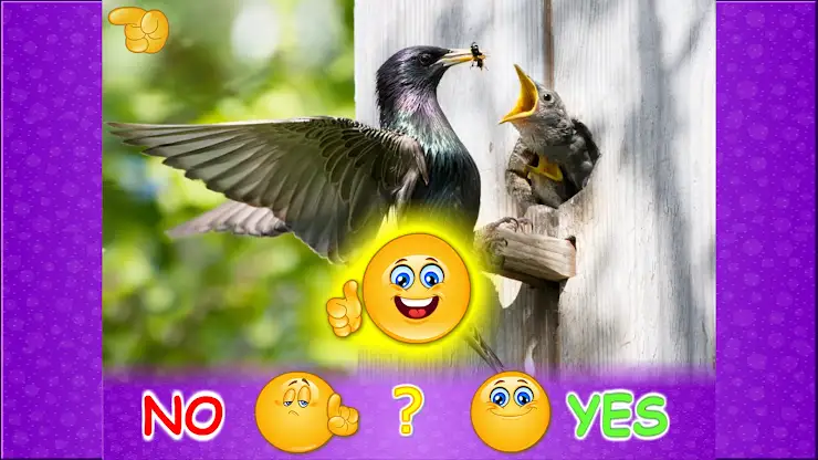 Amazing Animals for Kids Lite screenshot 5
