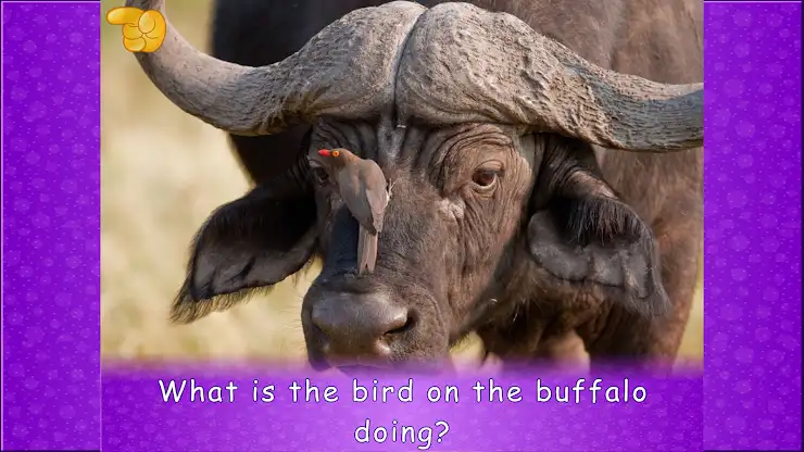 Amazing Animals for Kids Lite screenshot 3
