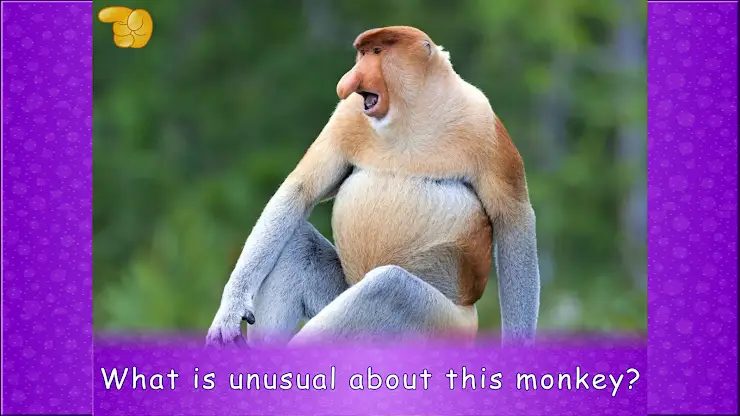 Amazing Animals for Kids Lite screenshot 6