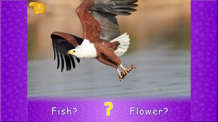Amazing Animals for Kids Lite screenshot 8