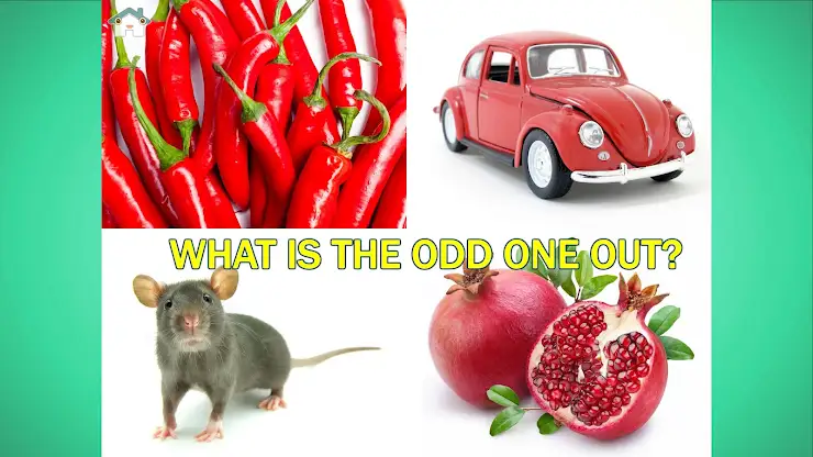 Odd One Out: Concepts Lite screenshot 5