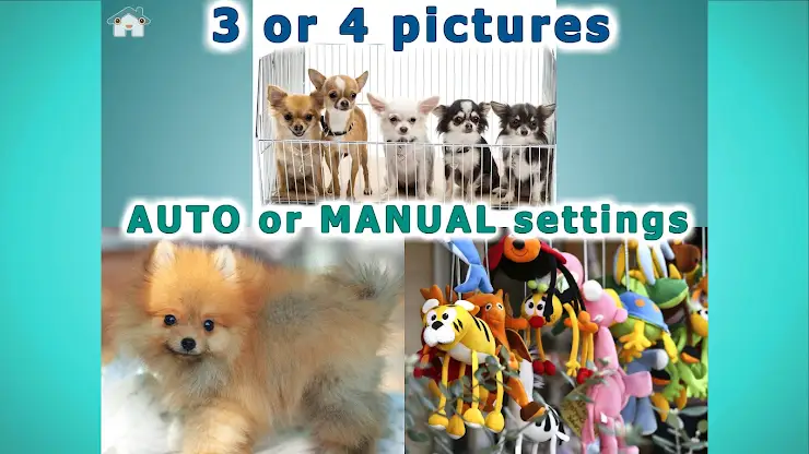 Odd One Out: Kids Logic Lite screenshot 4