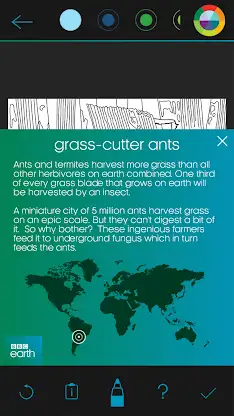 BBC Earth Colouring screenshot 5
