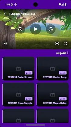 BenBen TV screenshot 2