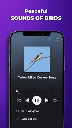 Phone Ringtones screenshot 7