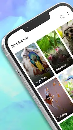 Bird Calls, Sounds & Ringtones screenshot 1